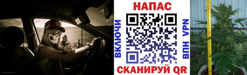 Бошки Шишки индика  Купить  Мостовской 